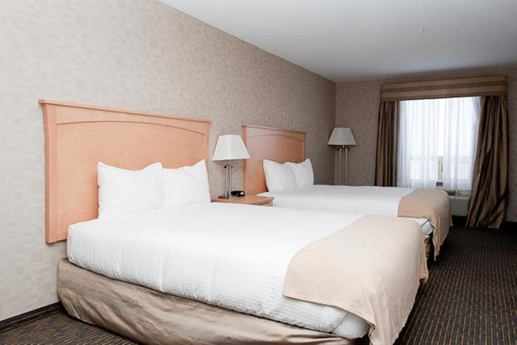 Paradise Inn And Suites Valleyview الغرفة الصورة